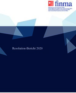 Resolution-Bericht 2020 - Finma