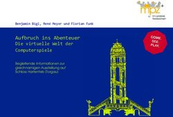 Aufbruch ins Abenteuer Die virtuelle Welt der Computerspiele - Begleitende Informationen zur gleichnamigen Ausstellung auf Schloss Hartenfels ...