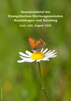 Gemeindebrief der Evangelischen Kirchengemeinden Brandshagen und Reinberg - Juni, Juli, August 2021
