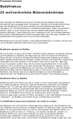 Buddhismus 20 weitverbreitete Missverständnisse - Francesco Ficicchia