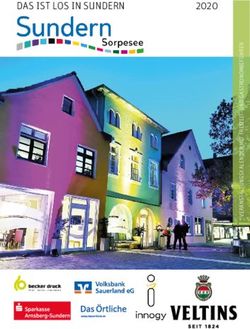 DAS IST LOS IN SUNDERN 2020 - Sundern am Sorpesee