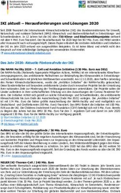IKI aktuell - Herausforderungen und L&ouml;sungen 2020 - Internationale Klimaschutzinitiative