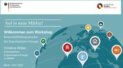 Willkommen zum Workshop - Konsortialbildungsprojekte Christina Wittek - German Energy Solutions