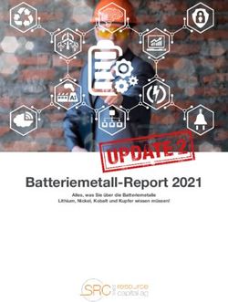 Batteriemetall-Report 2021 - Alles, was Sie &uuml;ber die Batteriemetalle Lithium, Nickel, Kobalt und Kupfer wissen m&uuml;ssen! - Swiss Resource Capital