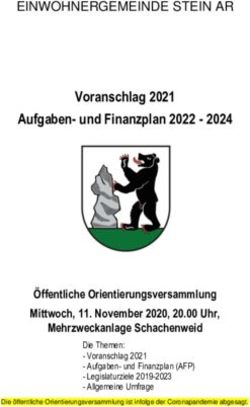 Voranschlag 2021 Aufgaben- und Finanzplan 2022 2024 - Gemeinde Stein AR