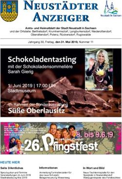 Neust&auml;dter Anzeiger - Stadt Neustadt in Sachsen