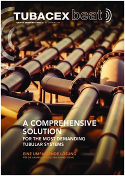 A COMPREHENSIVE SOLUTION - FOR THE MOST DEMANDING TUBULAR SYSTEMS EINE UMFASSENDE LÖSUNG - Tubacex