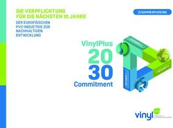 DIE VERPFLICHTUNG F&Uuml;R DIE N&Auml;CHSTEN 10 JAHRE - DER EUROP&Auml;ISCHEN PVC-INDUSTRIE ZUR NACHHALTIGEN ENTWICKLUNG