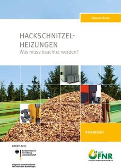 HACKSCHNITZEL-HEIZUNGEN - Was muss beachtet werden? - BIOENERGIE