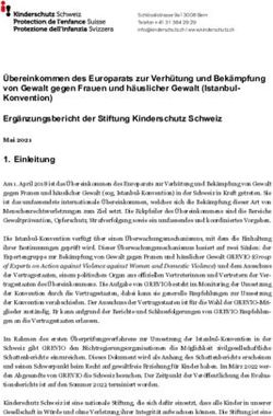 &Uuml;bereinkommen des Europarats zur Verh&uuml;tung und Bek&auml;mpfung von Gewalt gegen Frauen und h&auml;uslicher Gewalt (Istanbul-Konvention) Erg&auml;nzungsbericht ...