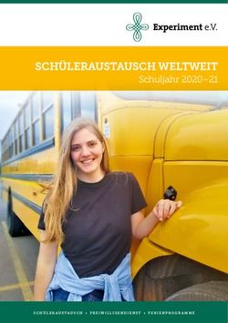 SCHÜLERAUSTAUSCH WELTWEIT - Schuljahr 2020-21 - Experiment eV