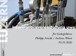 Für Geologiebüros Philipp Arnold / Andreas Wüest 30.10.2020