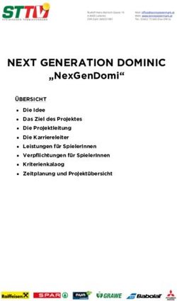 NEXT GENERATION DOMINIC - "NexGenDomi" &Uuml;BERSICHT Die Idee Das Ziel des Projektes