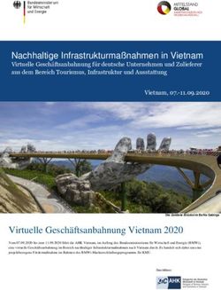 Virtuelle Geschäftsanbahnung Vietnam 2020 - Nachhaltige Infrastrukturmaßnahmen in Vietnam - ahv.nrw