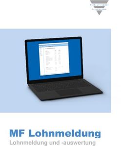 MF Lohnmeldung Lohnmeldung und -auswertung - Markus Friedrich Datentechnik