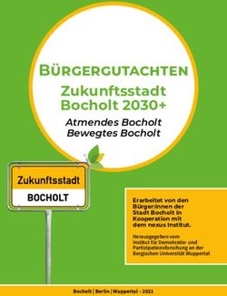 Bürgergutachten Zukunftsstadt Bocholt 2030+ - Atmendes Bocholt Bewegtes Bocholt - Institut für Demokratie- und ...