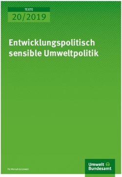 Entwicklungspolitisch sensible Umweltpolitik - 20/2019 TEXTE - Umweltbundesamt