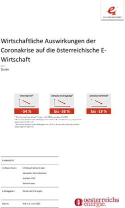 Wirtschaftliche Auswirkungen der Coronakrise auf die österreichische E- Wirtschaft - Studie