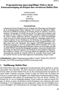 Programmierung anpassungsfähiger Makros durch Datensatzzerlegung am Beispiel eines erweiterten Bubble-Plots