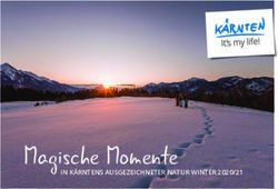 Magische Momente IN KÄRNTENS AUSGEZEICHNETER NATUR WINTER 2020/21 - Kaernten.at