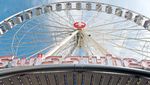 Schweizerische Marktzeitung - Schweizerischer Marktverband