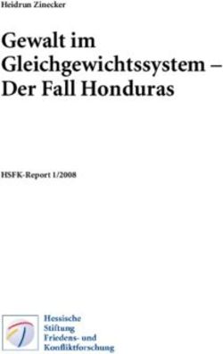 Gewalt im Gleichgewichtssystem - Der Fall Honduras - HSFK-Report 1/2008 - Heidrun Zinecker
