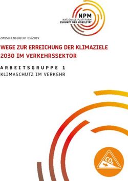 WEGE ZUR ERREICHUNG DER KLIMAZIELE 2030 IM VERKEHRSSEKTOR - ZWISCHENBERICHT 03/2019