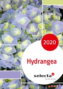 Hydrangea 2020 - Selecta One