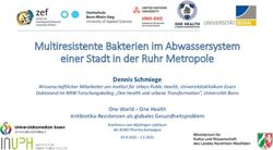 Multiresistente Bakterien im Abwassersystem einer Stadt in der Ruhr Metropole