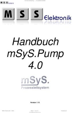 HANDBUCH MSYS.PUMP 4.0 - MSS ELEKTRONIK
