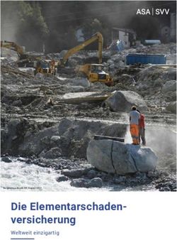 Die Elementarschaden-versicherung - Weltweit einzigartig - Der Schweizerische ...