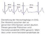 Dem Blutdruck auf die Sprünge helfen