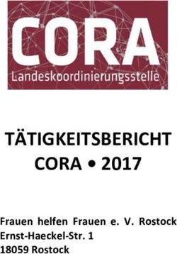 TÄTIGKEITSBERICHT CORA 2017 - Frauen helfen Frauen e. V. Rostock Ernst-Haeckel-Str. 1 18059 Rostock