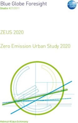 Blue Globe Foresight Studie #27/2011 - ZEUS 2020 Zero Emission Urban Study 2020 - Klima- und Energiefonds