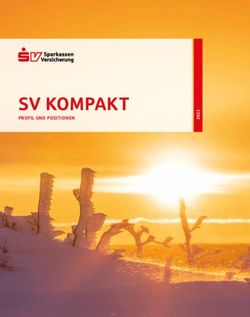 SV KOMPAKT PROFIL UND POSITIONEN - SV SparkassenVersicherung