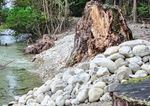 Ein Bach wird aufgewertet - für Ringelnatter, Wasseramsel, Wiesel