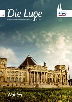 DieLu e Zeitschrift des Di&ouml;zesanverbandes K&ouml;ln der DPSG 01 / 2013 - DPSG K&ouml;ln