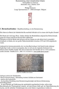 Restaurierung einer romantischen Gitarre - philipp neumann