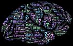 K&uuml;nstliche Intelligenz & Bildung - Nicht nur f&uuml;r ExpertInnen - Portal Deutsch