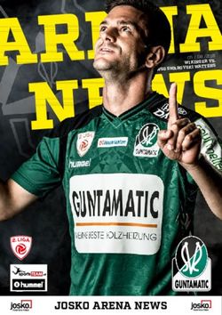 JOSKO ARENA NEWS - SV Ried