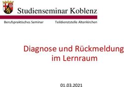 Diagnose und Rückmeldung im Lernraum - Studienseminar Koblenz 01.03.2021 - Studienseminare