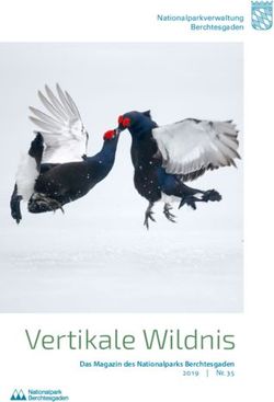 Vertikale Wildnis - Nationalparkverwaltung Berchtesgaden - Nationalpark Berchtesgaden