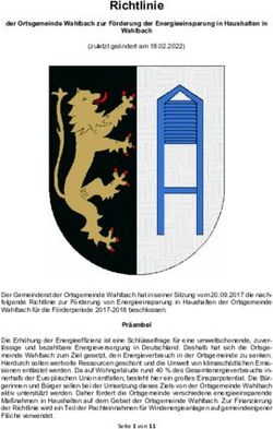 Richtlinie - Verbandsgemeinde Simmern-Rheinböllen
