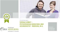 SOZIALE ARBEIT - PSYCHOSOZIALE BERATUNG UND GESUNDHEITSF&Ouml;RDERUNG, M.A - STUDIENGANG