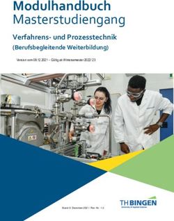 Modulhandbuch Masterstudiengang - Verfahrens- und Prozesstechnik (Berufsbegleitende Weiterbildung) - TH Bingen