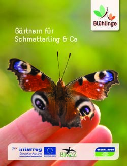 G&auml;rtnern f&uuml;r Schmetterling & Co - Global 2000