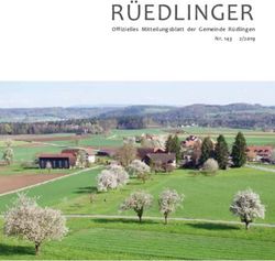 R&Uuml;EDLINGER Offizielles Mitteilungsblatt der Gemeinde R&uuml;dlingen Nr.143 2/2019 - Gemeinde R&uuml;dlingen