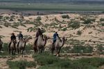 Individuelle Reise durch die Mongolei - Mongolische Wüste Gobi Abenteuer- und Erlebnisreise - Webflow