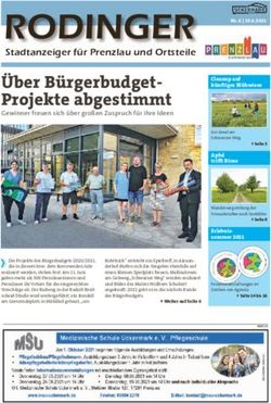 Über Bürgerbudget-Projekte abgestimmt - Gewinner freuen sich über großen Zuspruch für ihre Ideen - Rodinger