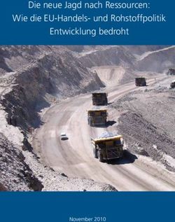 Die neue Jagd nach Ressourcen: Wie die EU-Handels- und Rohstoffpolitik Entwicklung bedroht - November 2010